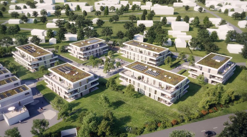 Appartement 4,5 pièces à Neunkirch (1)