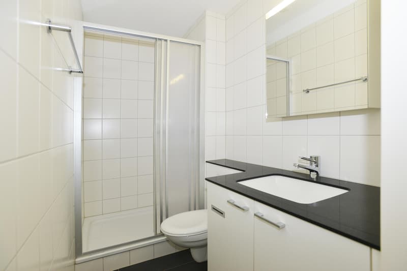 Appartamento di 4,5 locali a Neuhausen am Rheinfall (8)