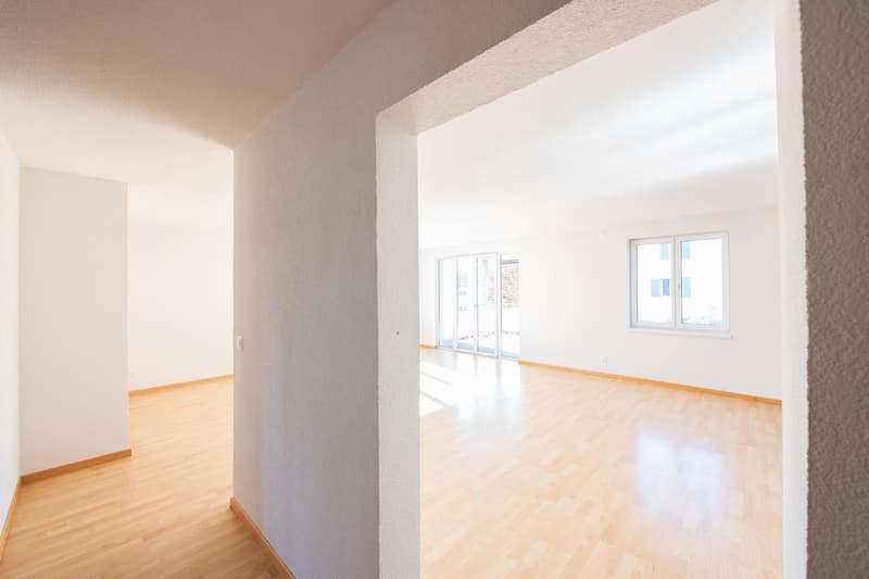 3.5 Zimmerwohnung in Schaffhausen (4)