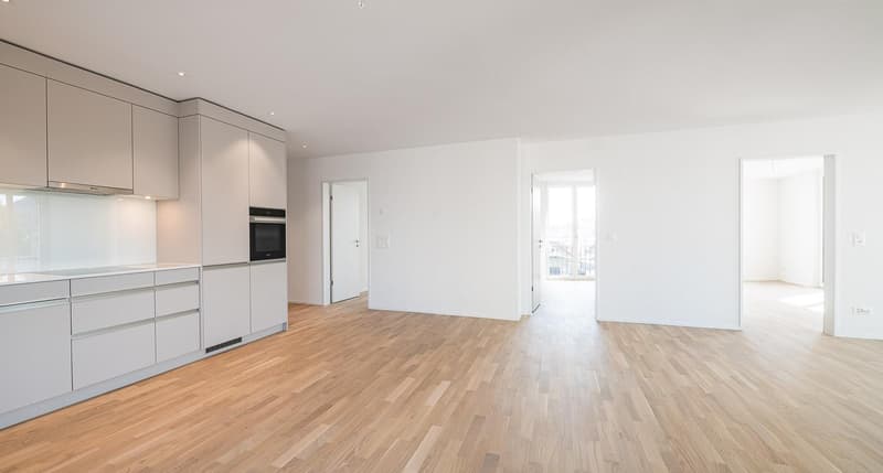 Modern 4.5-room apartment in the heart of Neuhausen! (4)