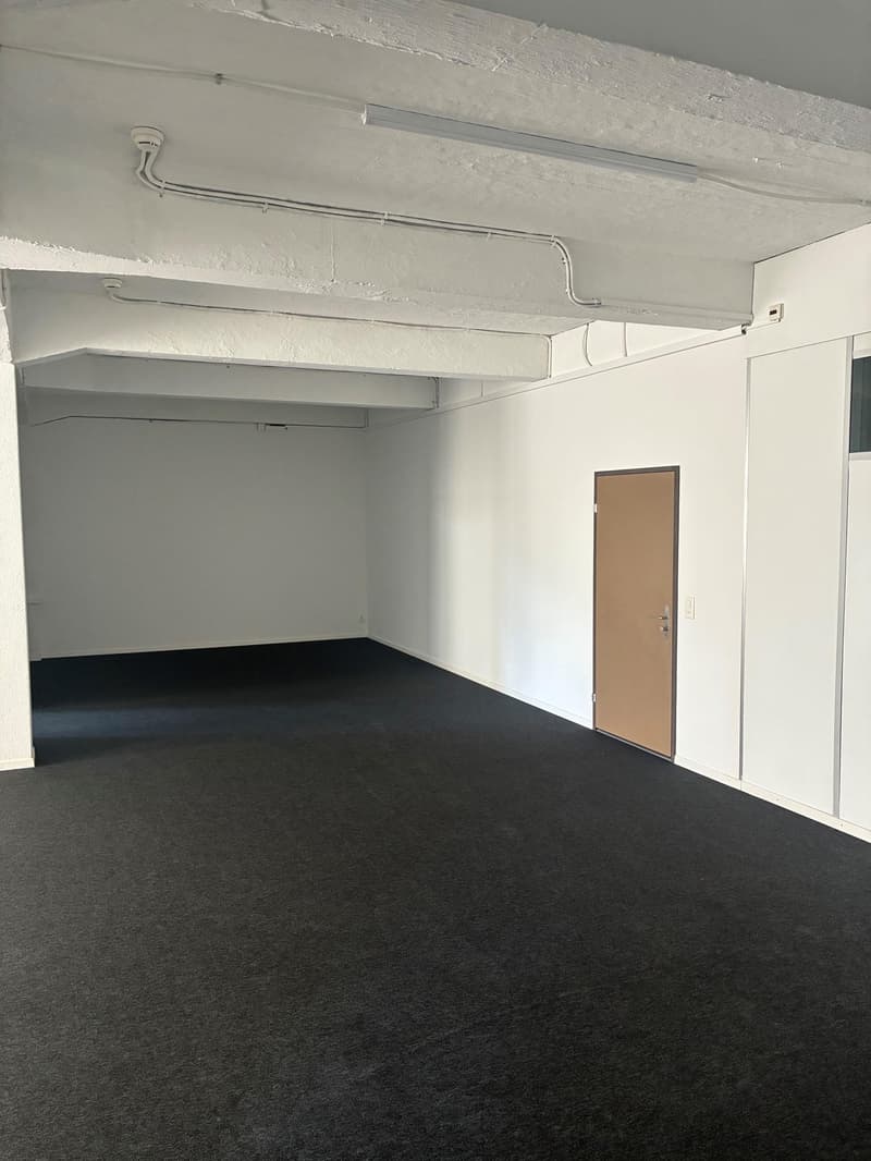 Local commercial à Weisslingen (9)