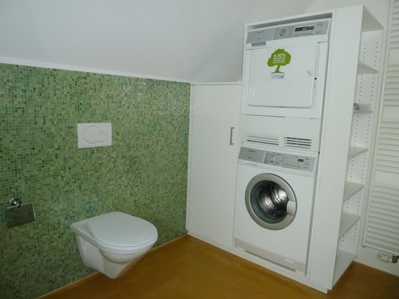 3.5 Zimmerwohnung in Stein am Rhein (8)