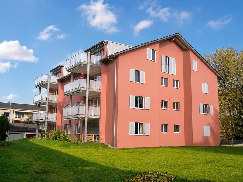 Bel appartement 4,5 pièces à Schaffhausen (1)