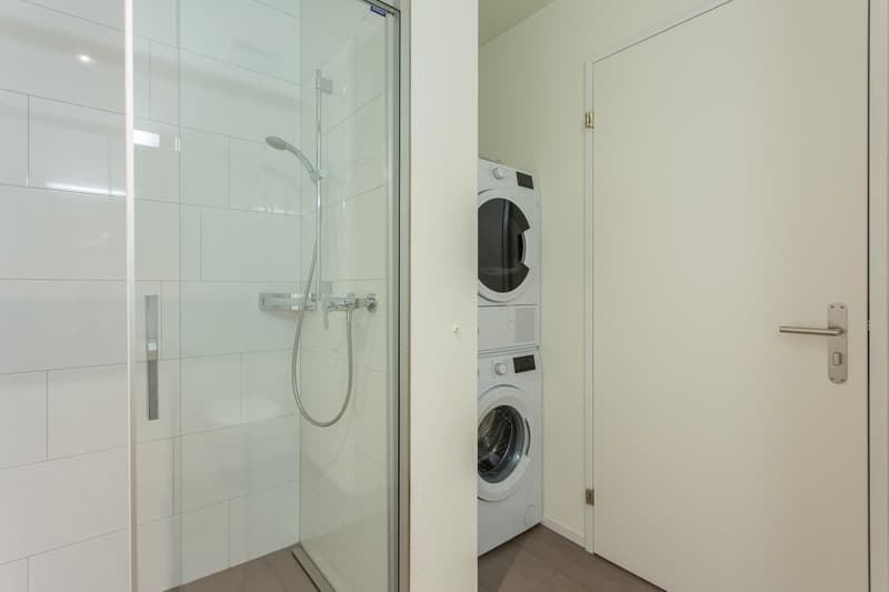 Exclusive 3.5-room attic apartment directly at Sargans train station (4)