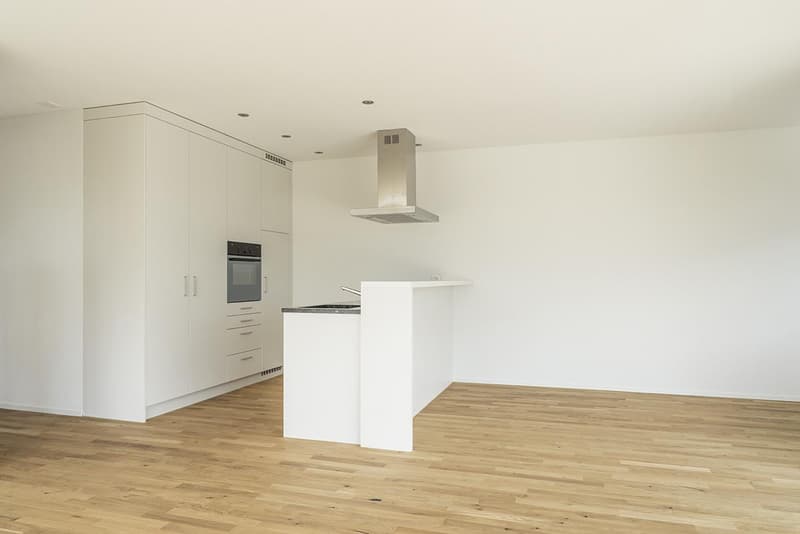 Exclusive 3.5-room attic apartment directly at Sargans train station (3)