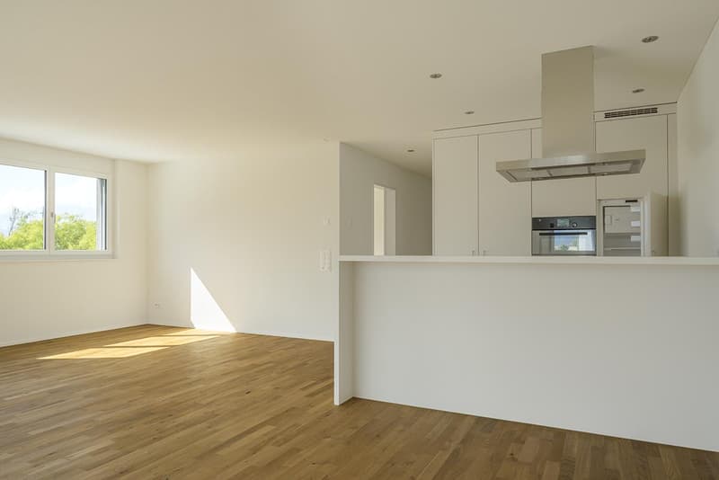 Exclusive 3.5-room attic apartment directly at Sargans train station (2)