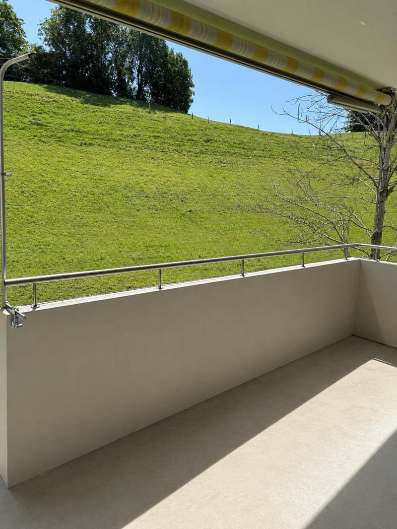 Vivere con vista - appartamento 4.5 locali moderno a Walzenhausen (9)