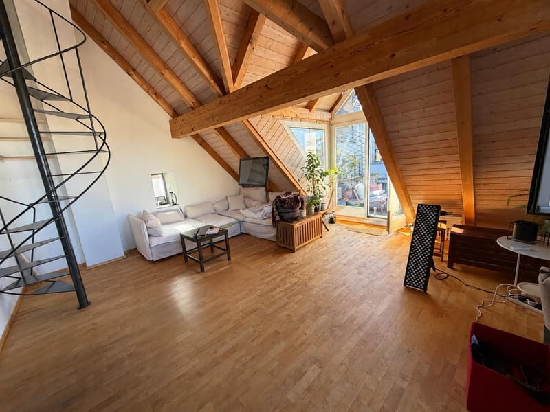 Appartement 2.5 pièces à Schaffhausen (2)