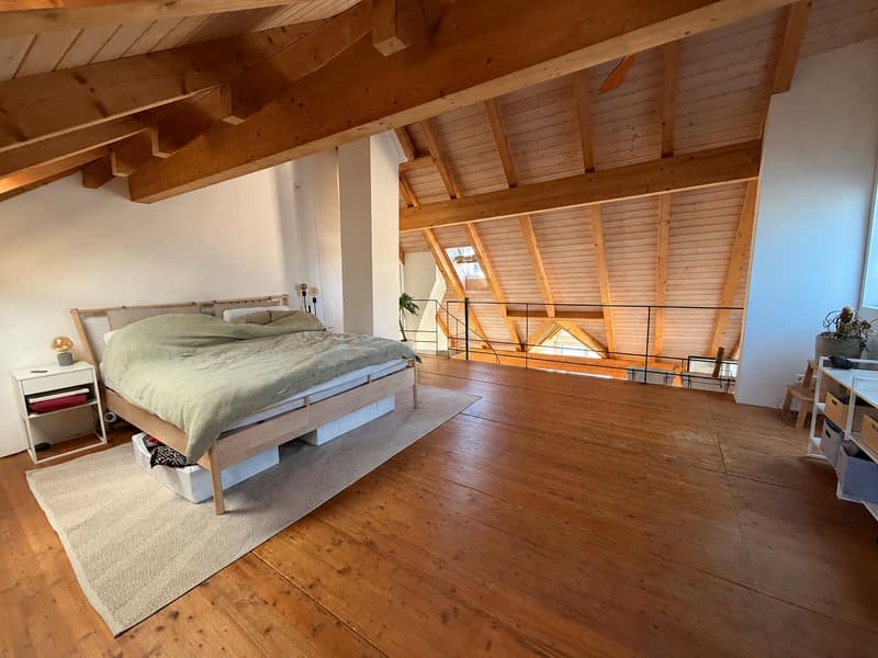 Appartement 2.5 pièces à Schaffhausen (8)