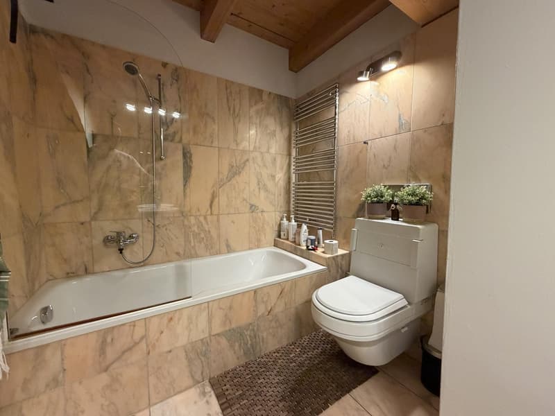 Appartement 2.5 pièces à Schaffhausen (6)