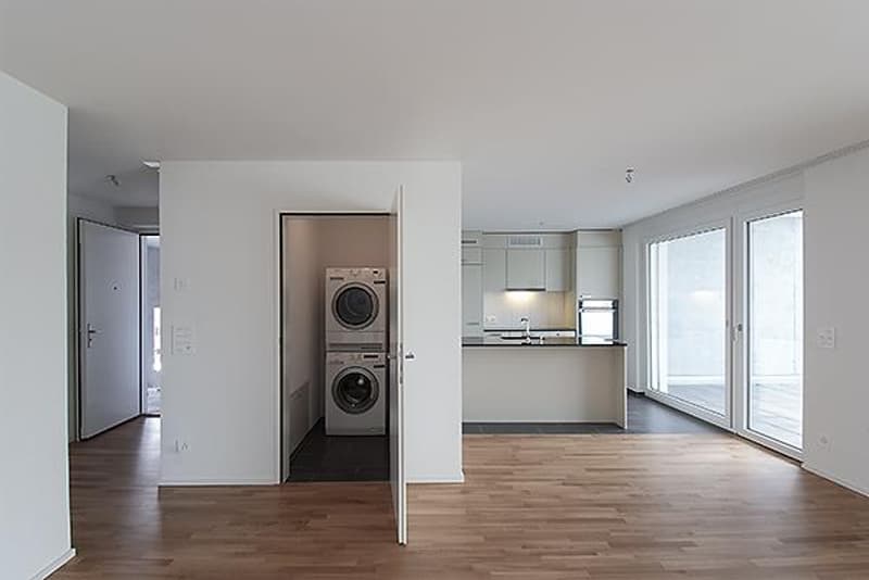 Moderne 2.5 Zimmer-Wohnung (2)