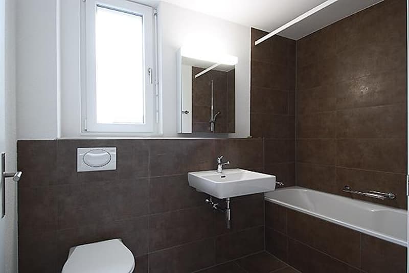 Moderne 2.5 Zimmer-Wohnung (3)
