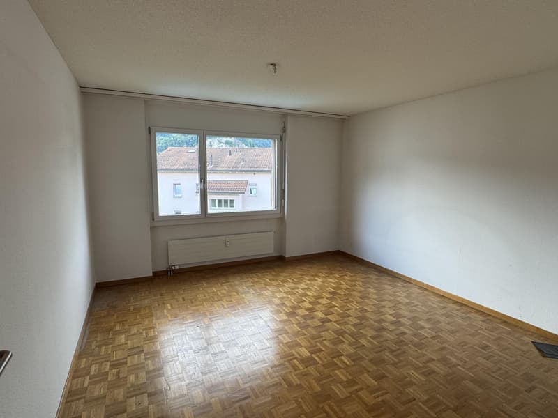 Cozy apartment in a quiet location in Oberriet SG (6)