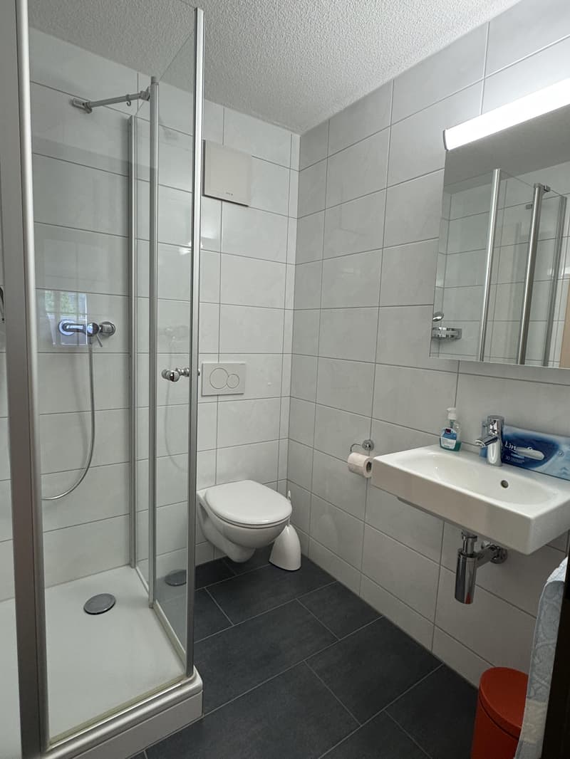 Cozy apartment in a quiet location in Oberriet SG (3)