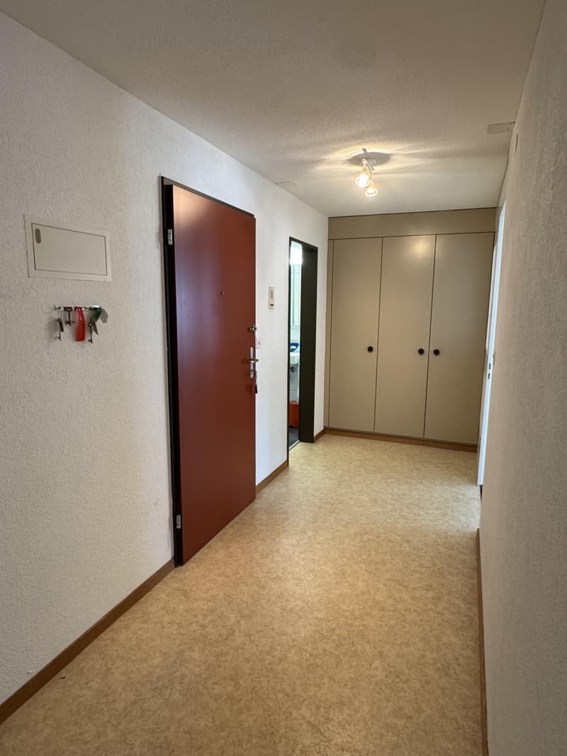 Cozy apartment in a quiet location in Oberriet SG (4)