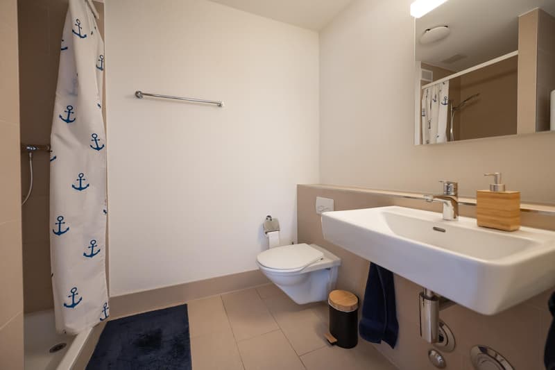 3.5 room apartment in Zurich (5)