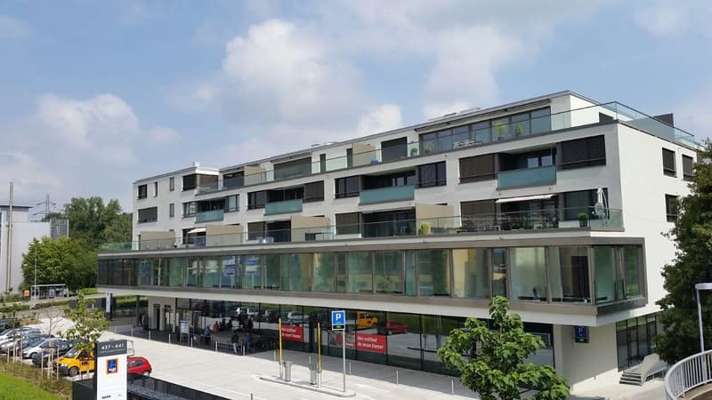 3.5 room apartment in Zurich (1)