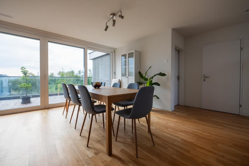 3.5 room apartment in Zurich (7)