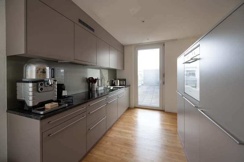 3.5 room apartment in Zurich (3)