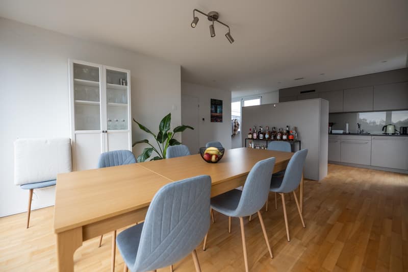 3.5 room apartment in Zurich (8)