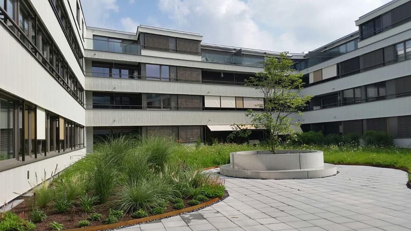 3.5 room apartment in Zurich (2)