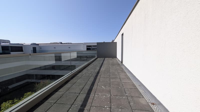 3.5 room apartment in Zurich (11)