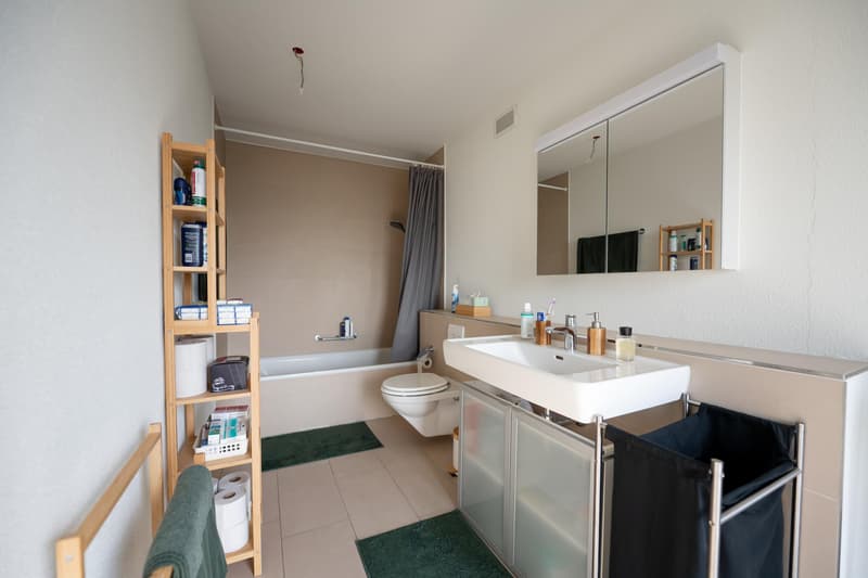 3.5 room apartment in Zurich (4)