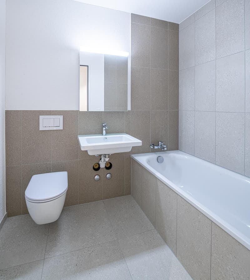 3.5 Zimmerwohnung in Schaffhausen (7)