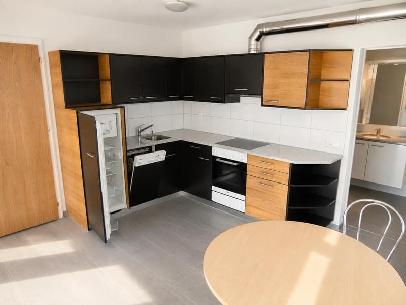 2.0 Zimmerwohnung in Ramsen (2)
