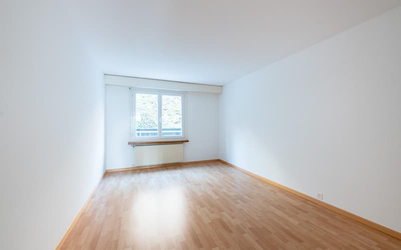 3.5-Zimmer-Wohnung in Schaffhausen (8)