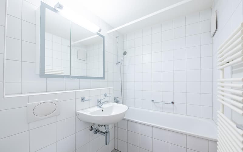 3.5-Zimmer-Wohnung in Schaffhausen (9)