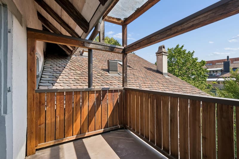3.5 Zimmerwohnung in Schaffhausen (9)