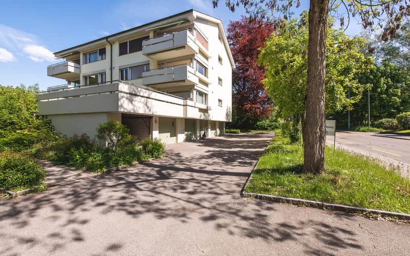 Sonnenburggutstrasse 17 - 4.5 Zimmerwohnung in Schaffhausen (1)