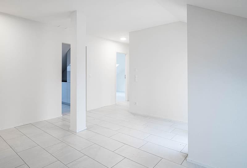 3.5-Zimmer-Wohnung in Schaffhausen (5)