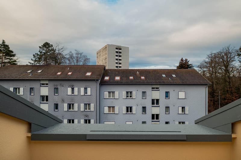 3.5-Zimmer-Wohnung in Schaffhausen (12)