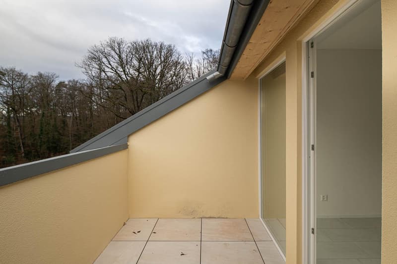 2.5-Zimmer-Wohnung in Schaffhausen (10)