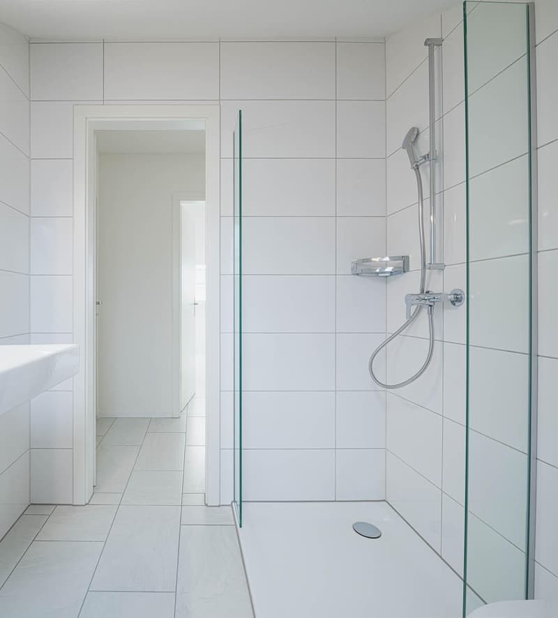2.5-Zimmer-Wohnung in Schaffhausen (9)