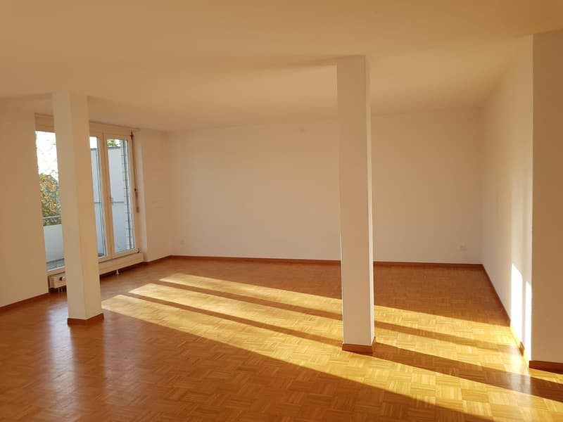 4.5 Zimmerwohnung in Schaffhausen (4)