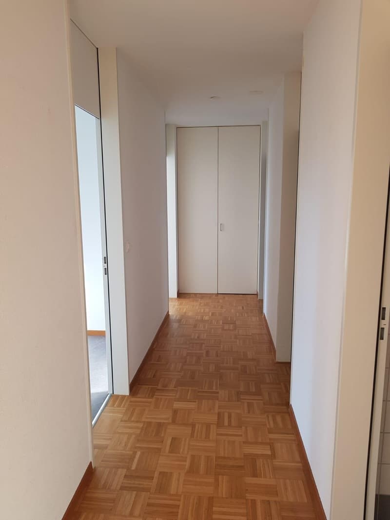 4.5 Zimmerwohnung in Schaffhausen (6)