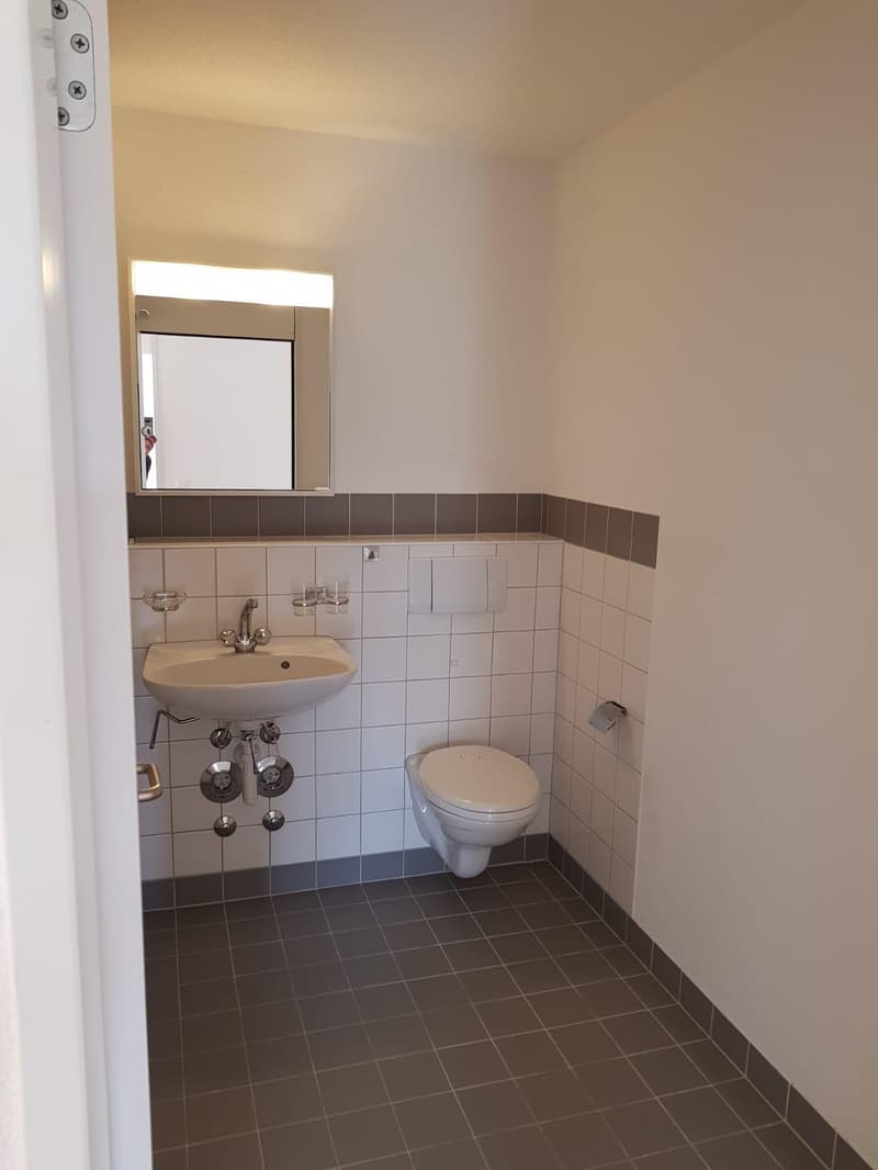 4.5 Zimmerwohnung in Schaffhausen (3)