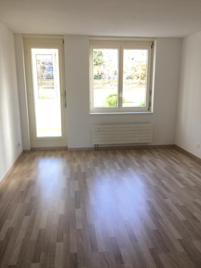 4.5 Zimmerwohnung in Schaffhausen (5)
