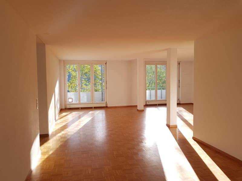 4.5 Zimmerwohnung in Schaffhausen (1)