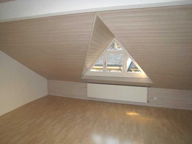 4.5 Zimmerwohnung in Schaffhausen (4)