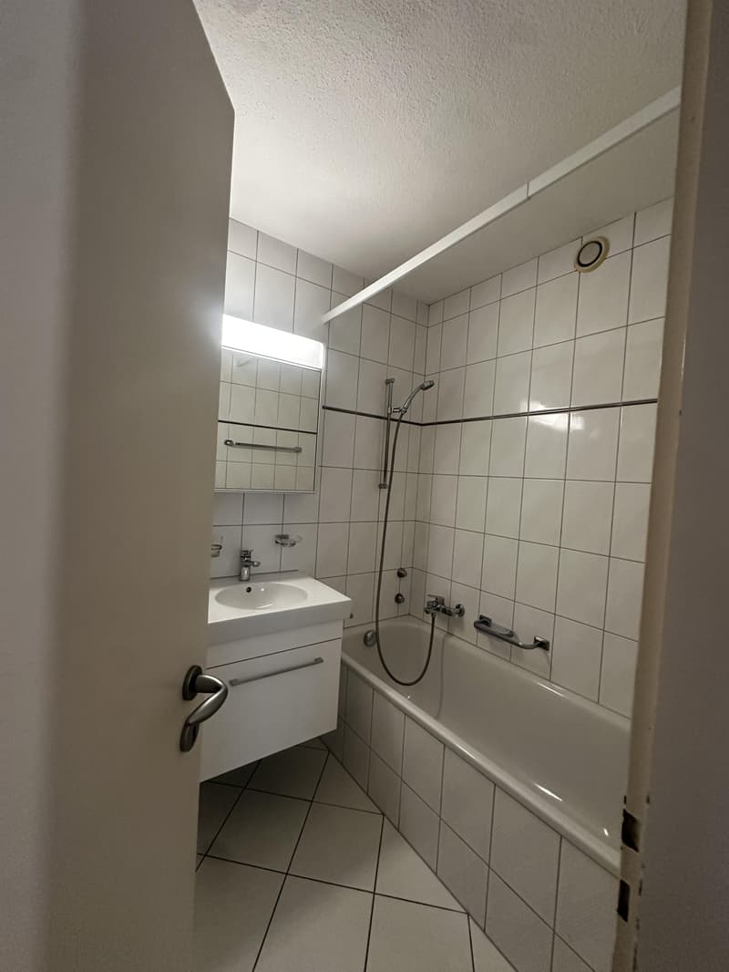 Attraktive 3-Zimmerwohnung mit schöner Terrasse  ab 01.10.2026 (11)