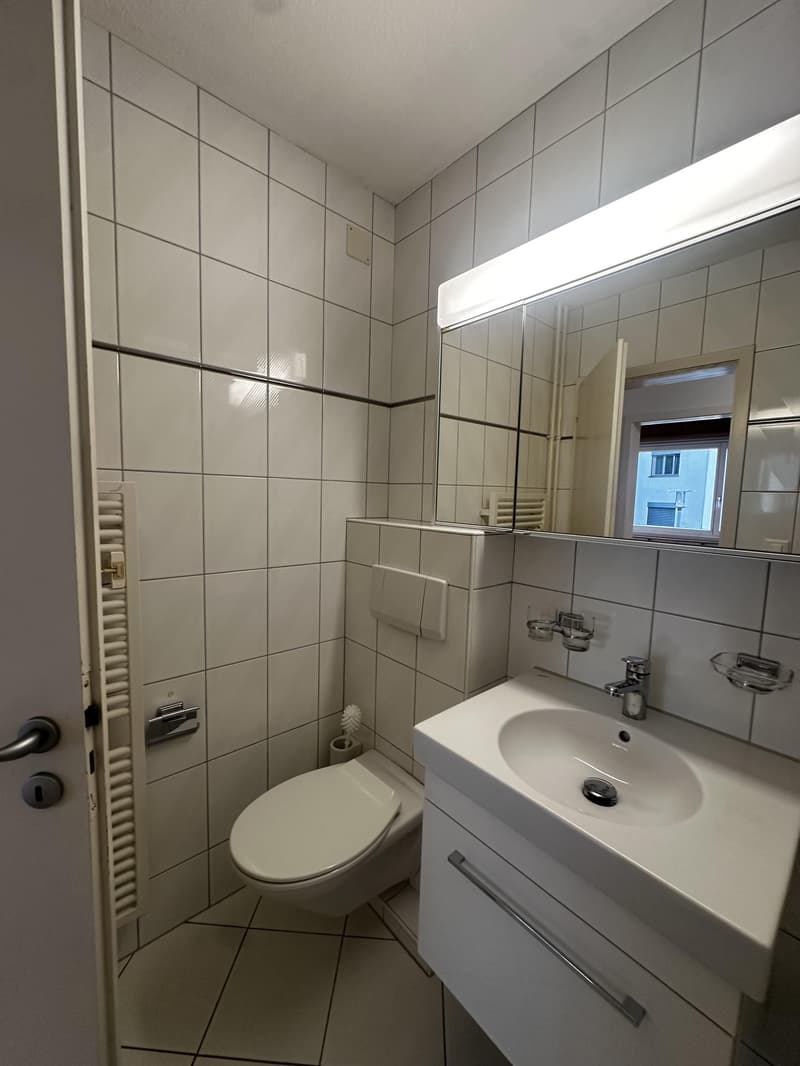 Attraktive 3-Zimmerwohnung mit schöner Terrasse  ab 01.10.2026 (10)
