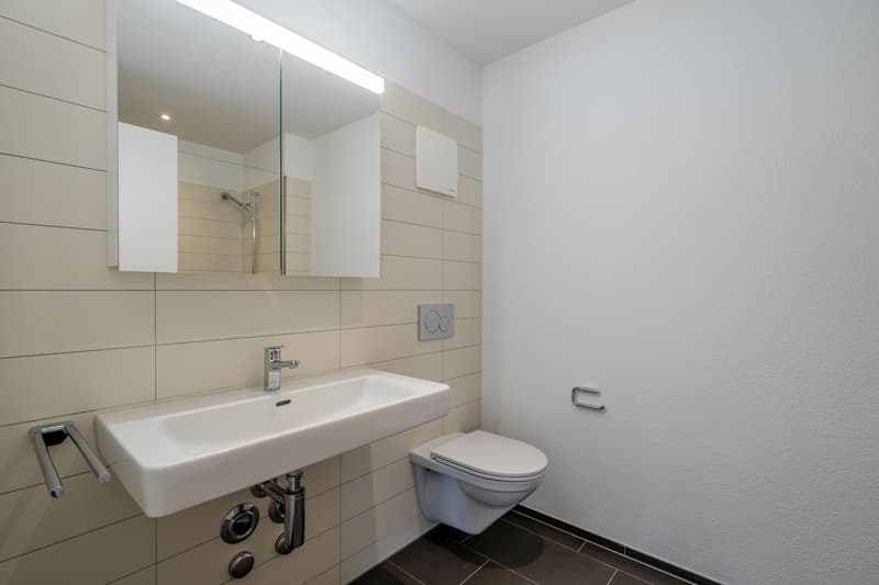 Stilvolle und hochwertig ausgebaute Wohnung (7)