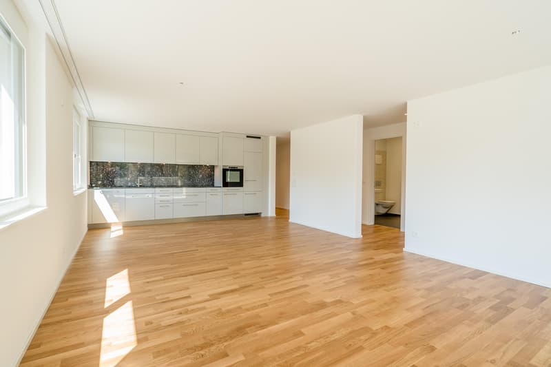 Stilvolle und hochwertig ausgebaute Wohnung (3)