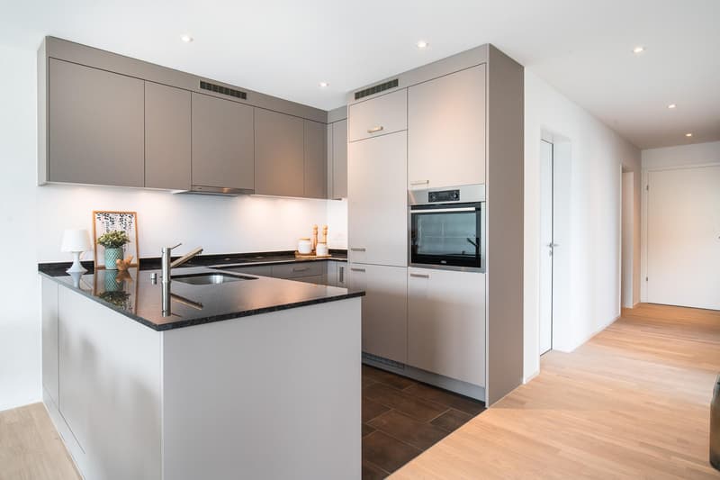 3.5 Zimmerwohnung in Neuhausen am Rheinfall (3)