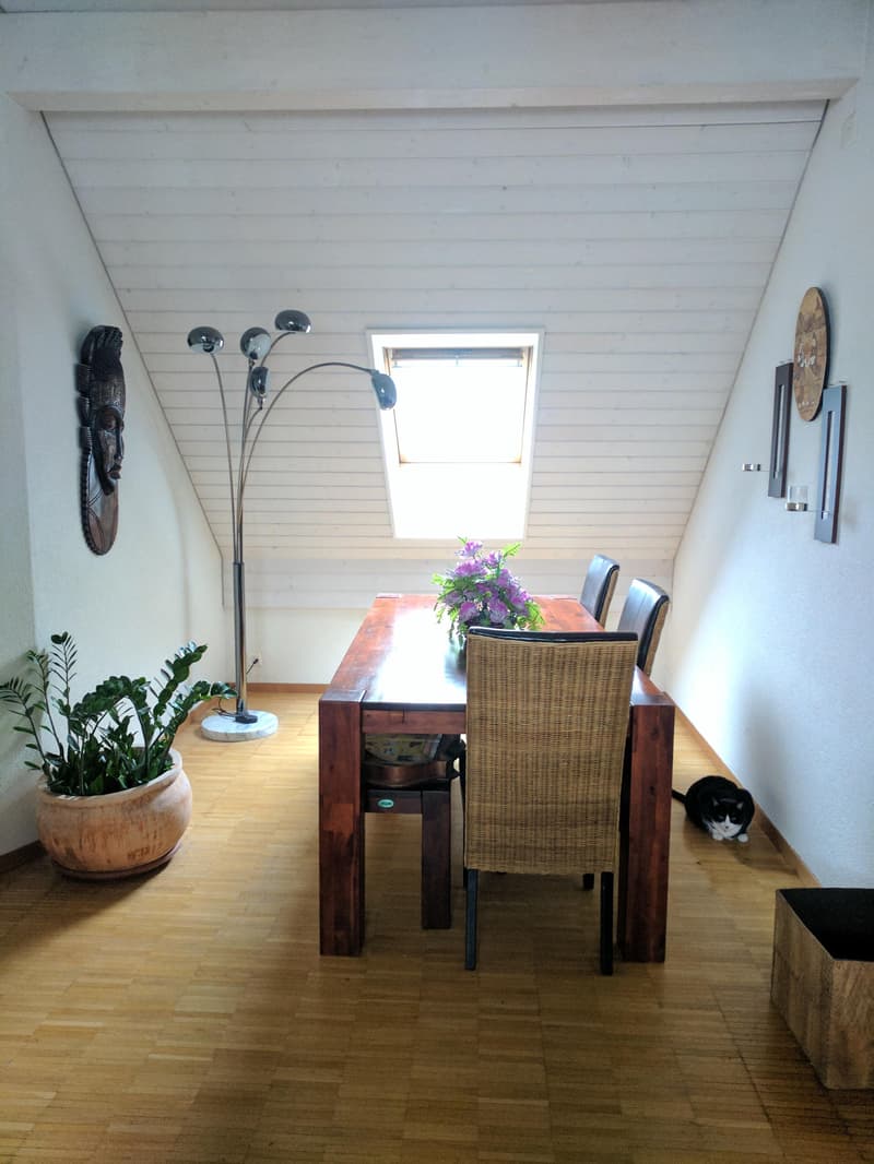 2.5-Zimmer-Wohnung in Pfungen (4)
