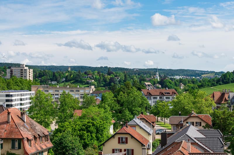 4.5-Zimmer-Wohnung in Neuhausen am Rheinfall (8)